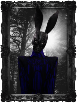 BLACK RABBIT